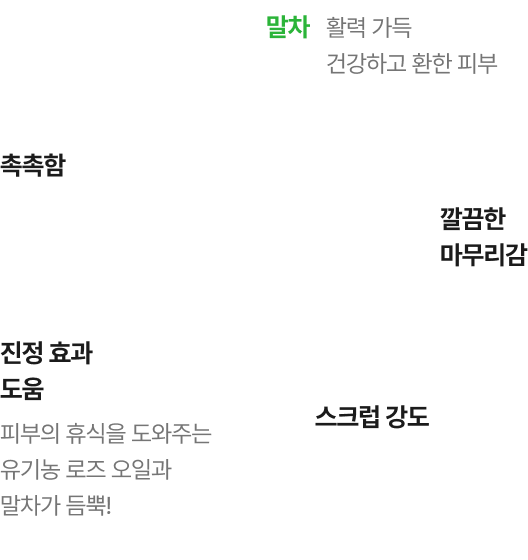 페이스 마스크 설명