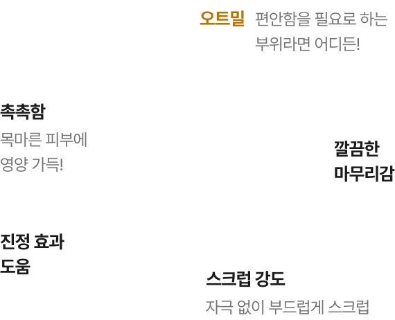 페이스 마스크 설명