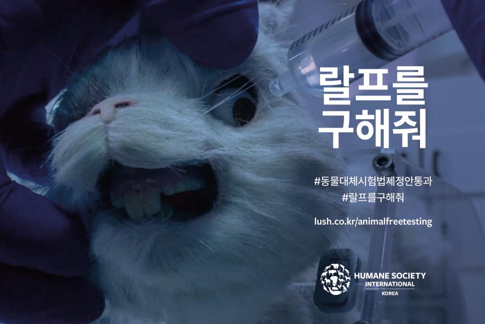 4월 24일 실험동물의 날, 랄프를 구해줘!