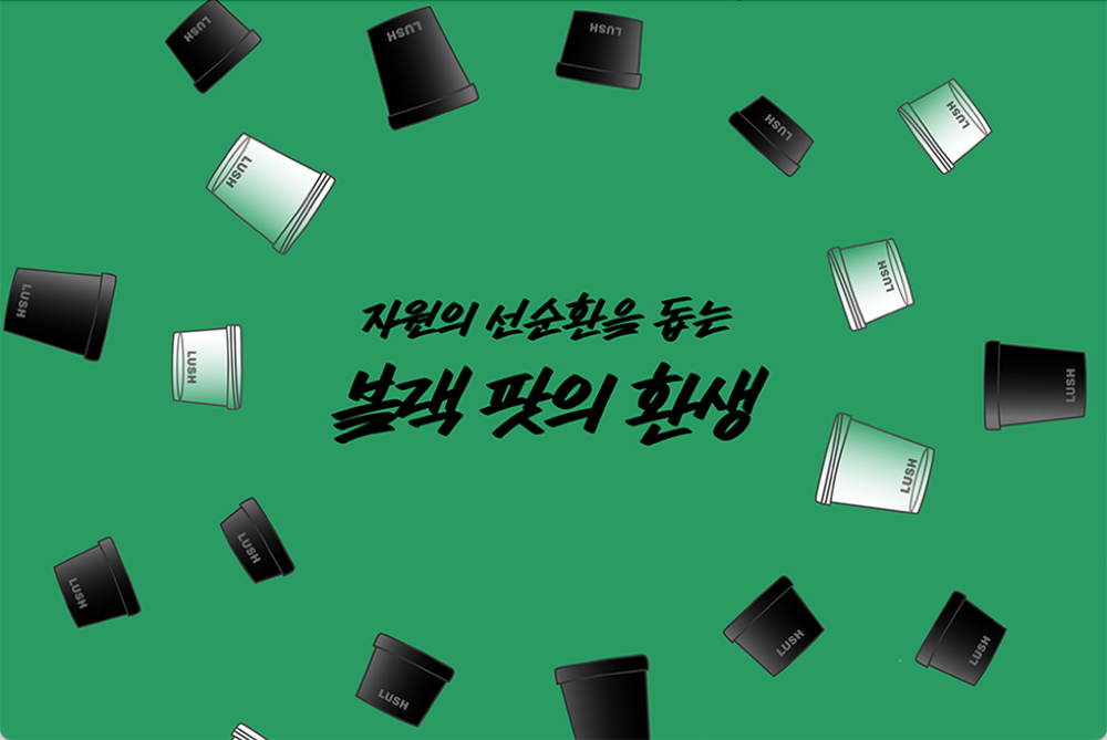 더 넓어진 '블랙 팟의 환생' 캠페인!