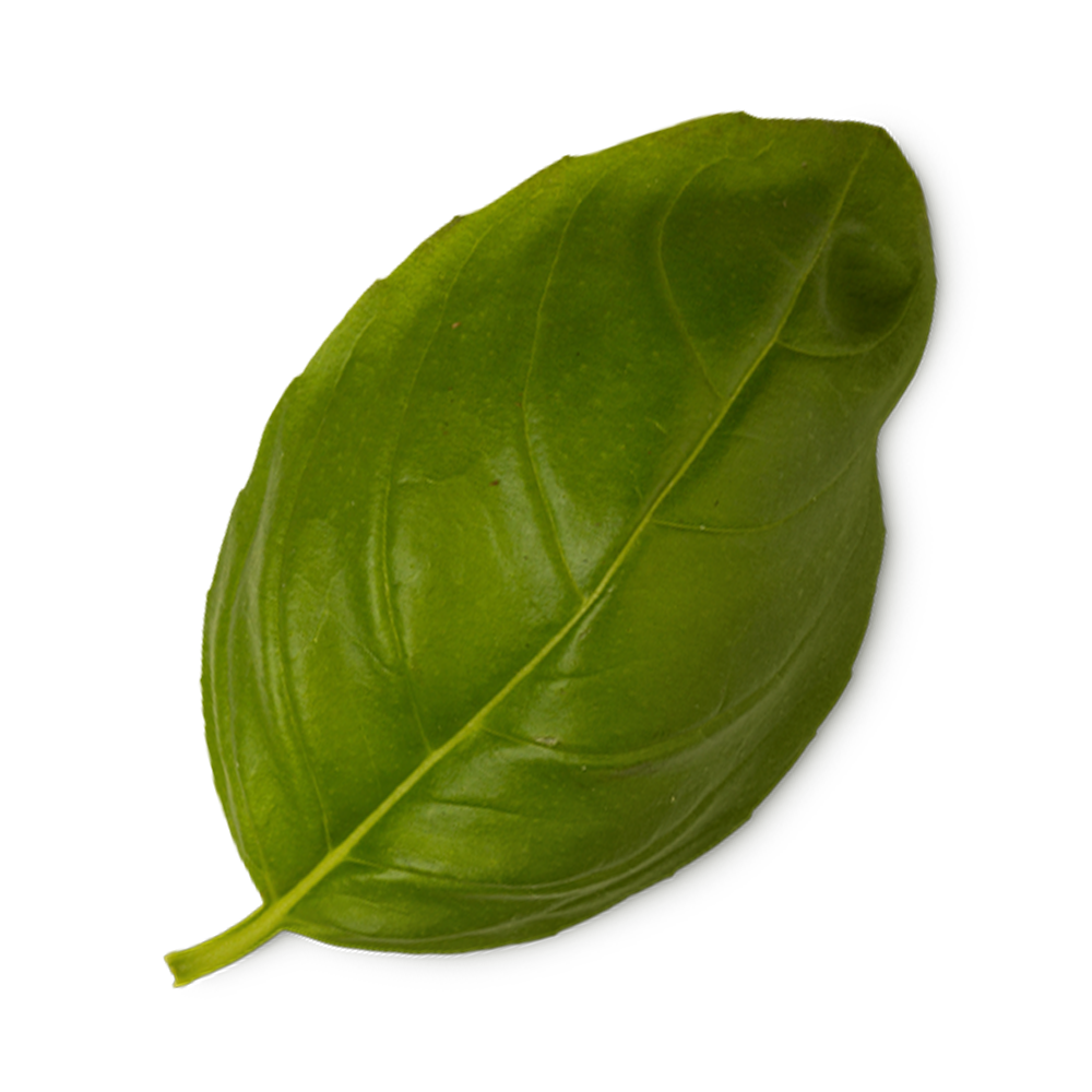 이벤트 이미지