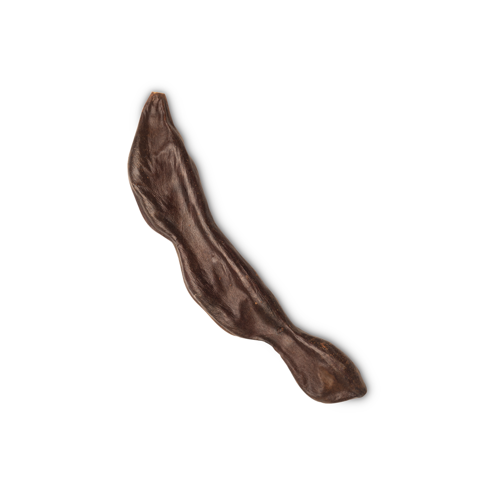 이벤트 이미지