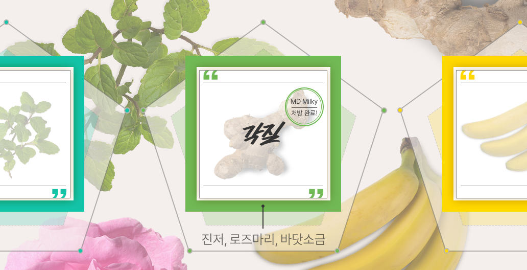 매일을 위한 두피 처방전