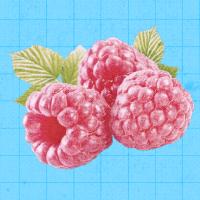 이벤트 배너 이미지