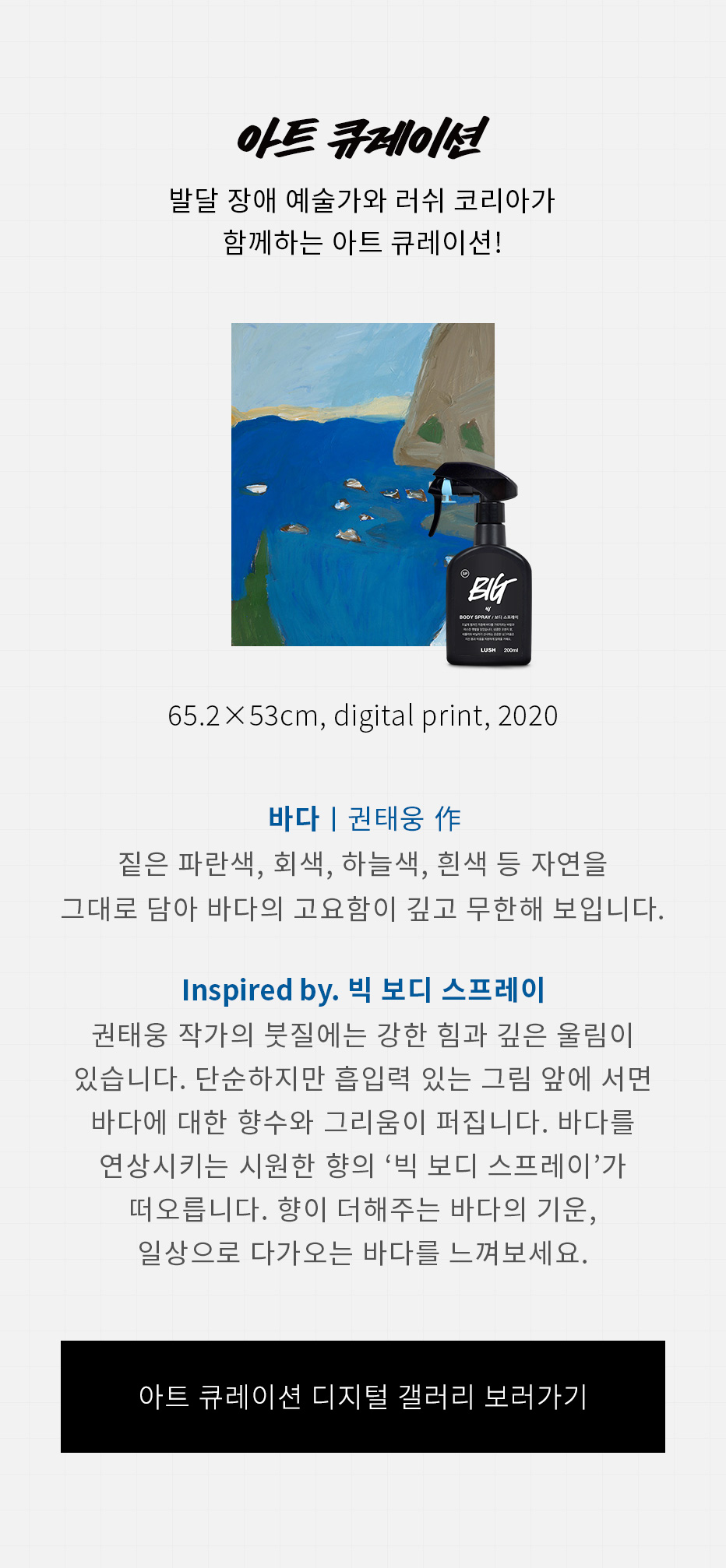 러쉬 빅 보디 스프레이 러쉬 빅 보디 스프레이