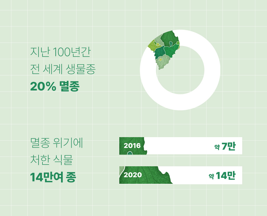 기후 위기에 따른 멸종 위기 정보