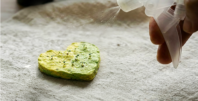 무엇이 피어날까?