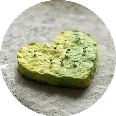 당 월 라이프 키트 구매 시 선착순으로 증정됩니다.