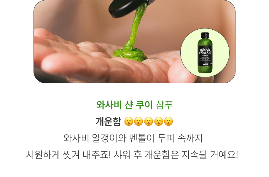 와사비 샨 쿠이 샴푸