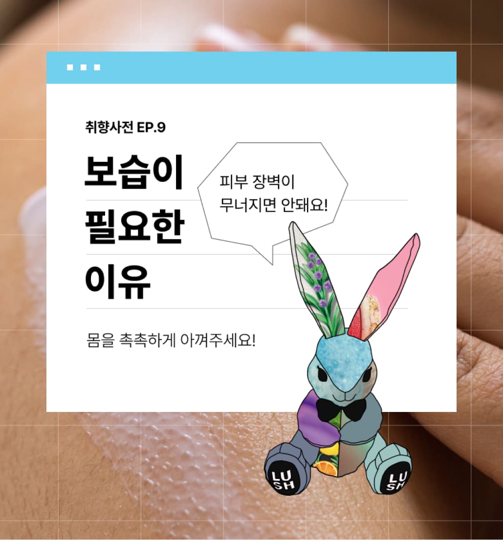 취향사전 EP.9 - 보습이 필요한 이유. 몸을 촉촉하게 아껴주세요! 피부 장벽이 무너지면 안돼요!