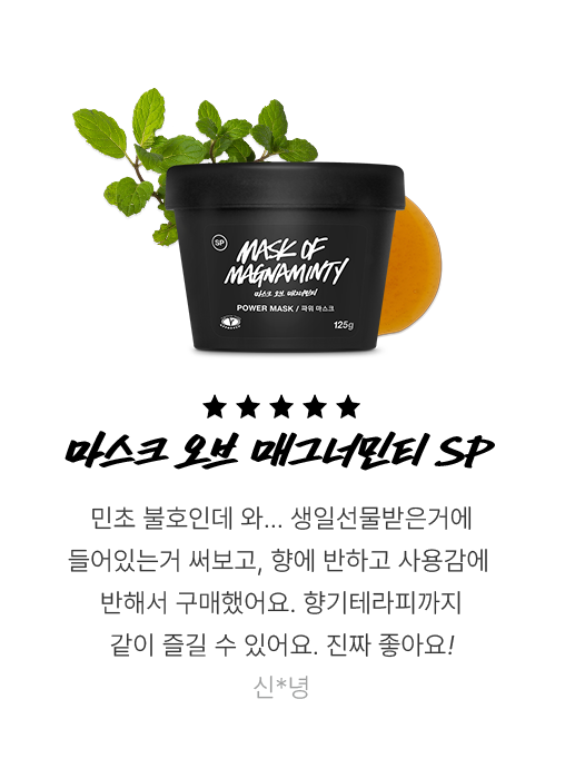 마스크 오브 매그너민티 SP