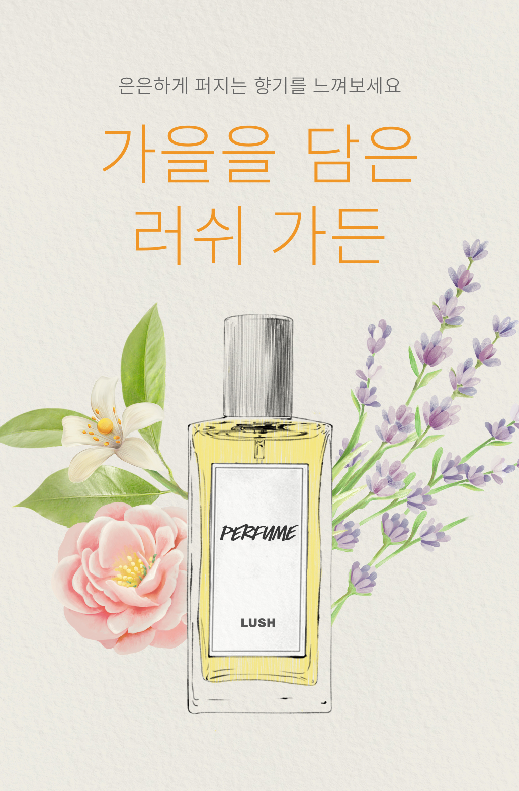 은은하게 퍼지는 향기를 느껴보세요