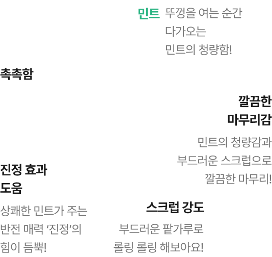 페이스 마스크 설명