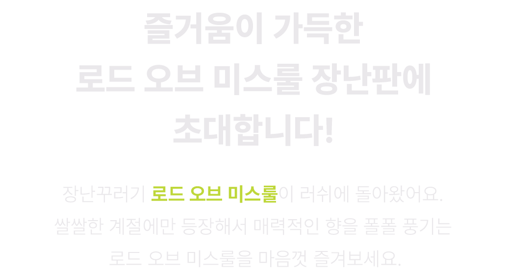 로드 오브 미스룰