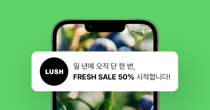 러쉬 라운지 소개