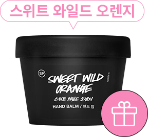 스위트 와일드 오렌지 랜딩