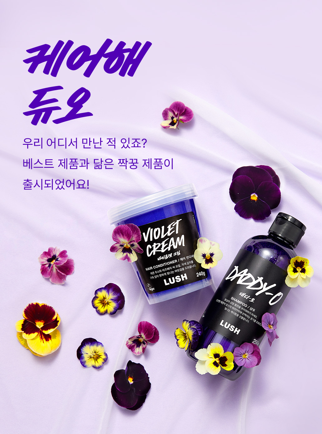 케어해 듀오