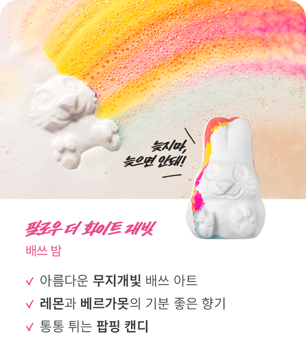 팔로우 더 화이트 래빗