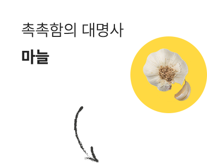촉촉함의 대명사 마늘