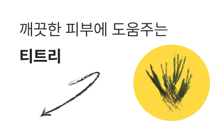 깨긋한 피부에 도움주는 티트리