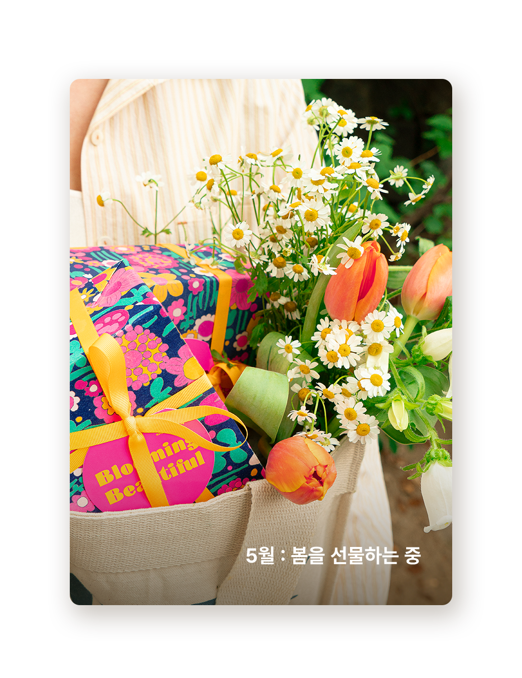 5월 다운로드 러쉬 배경화면