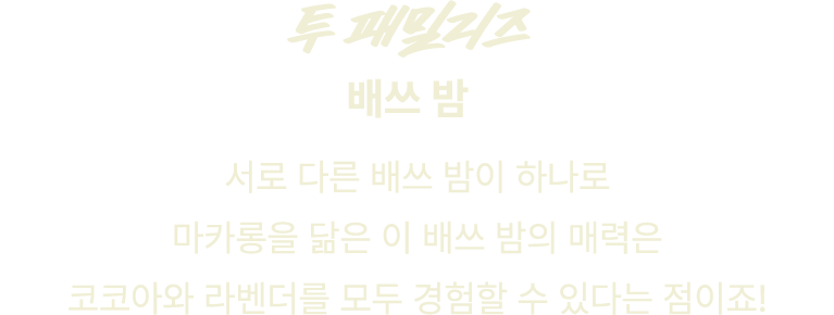 투 패밀리즈