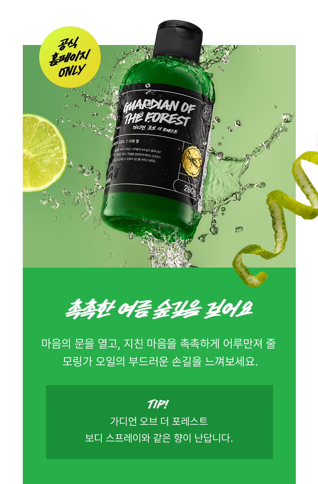 촉촉한 여름 숲길을 걸어요