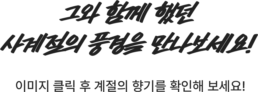 우리의 영원한 아티스트, 제이미 리드를 기억하며