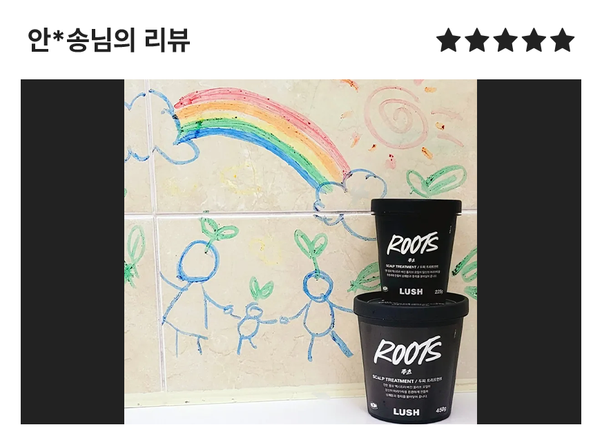 루츠