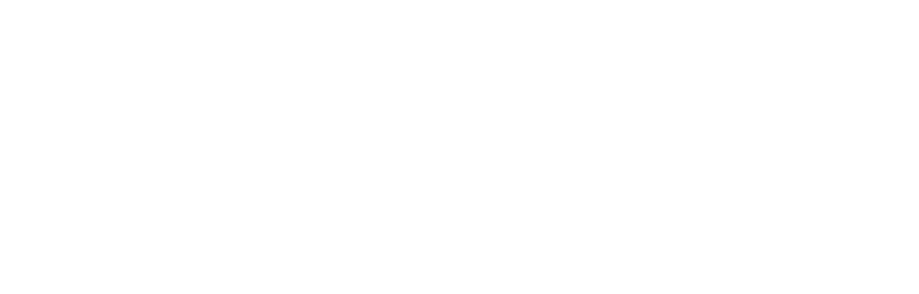 러쉬 팔레트를 더 화려하게 만들어줄 선물!
