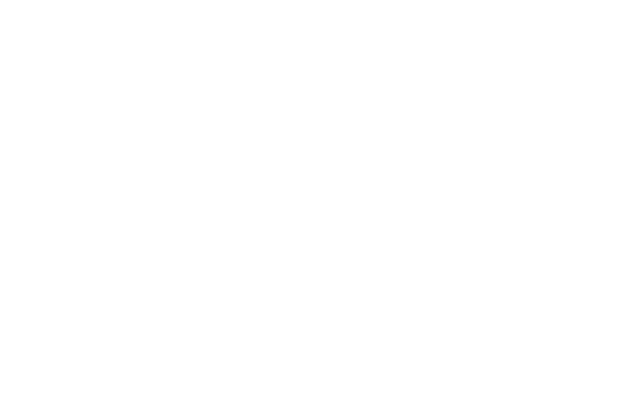 오래 간직 하고 싶은 여름을 찾아서