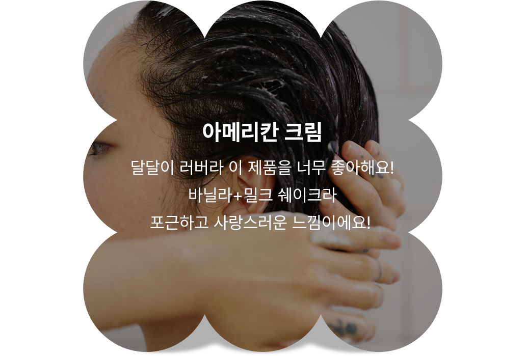 아메리칸 크림