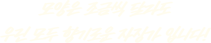 모양은 조금씩 달라도 우린 모두 향기로운 자장가 입니다!