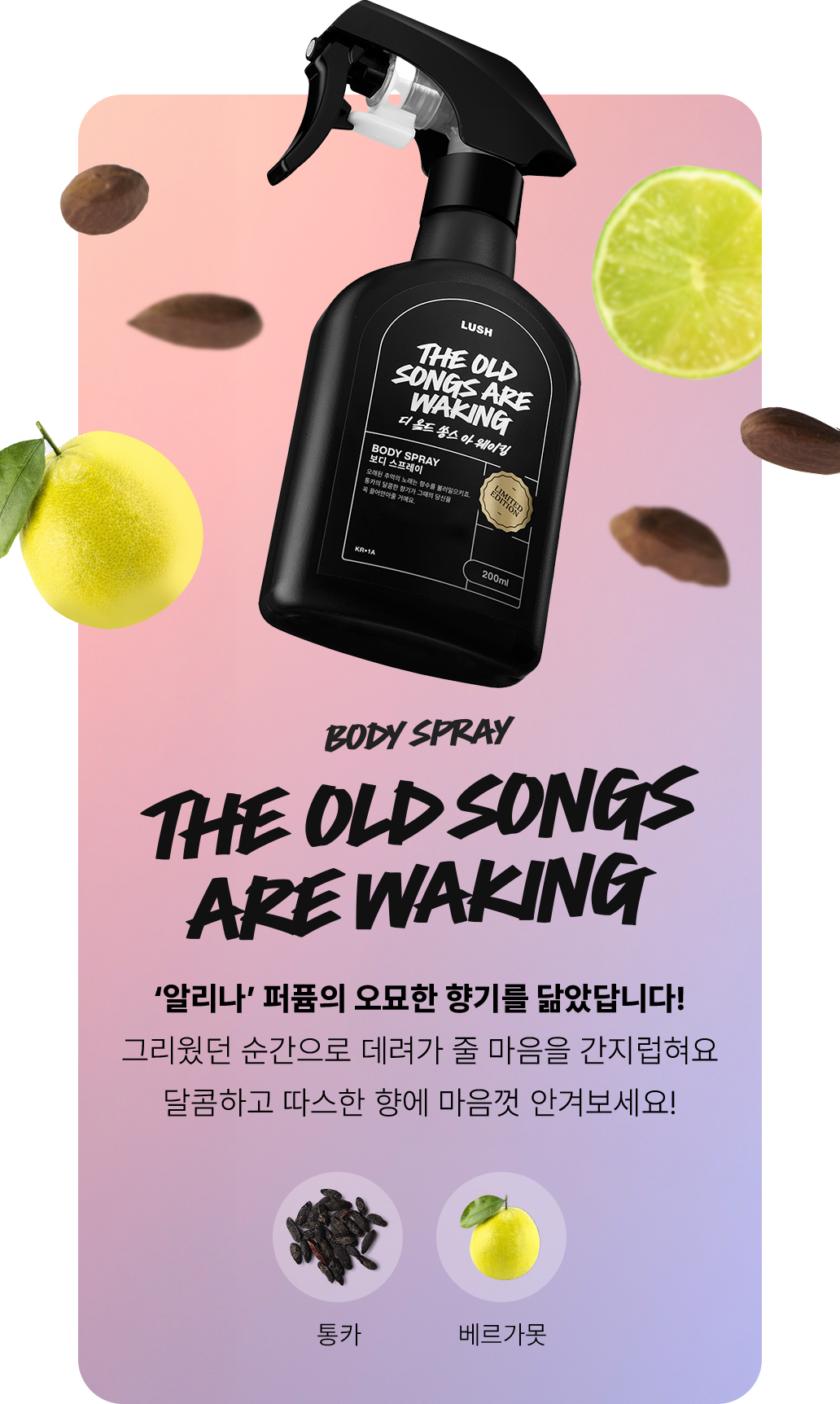 디 올드 쏭스 아 웨이킹