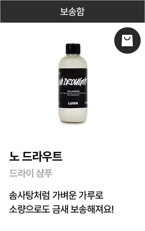 노 드라우트