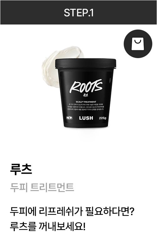 루츠