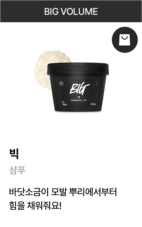 빅