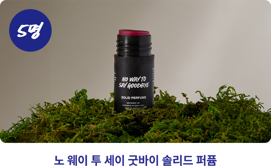 노 웨이 투 세이 굿바이 솔리드 퍼퓸