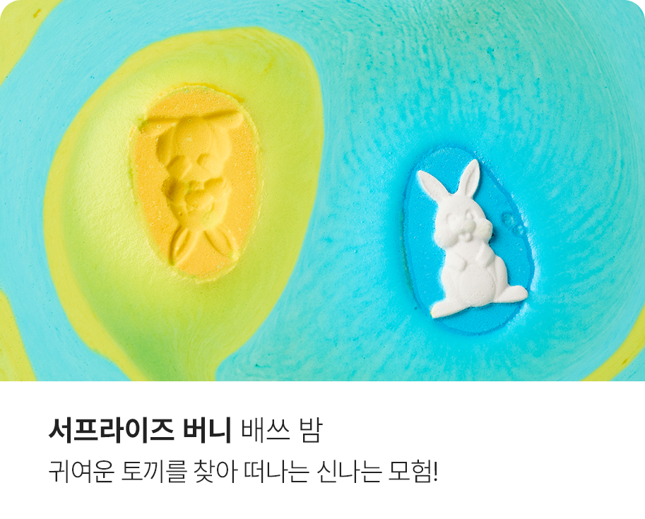 제품 사진