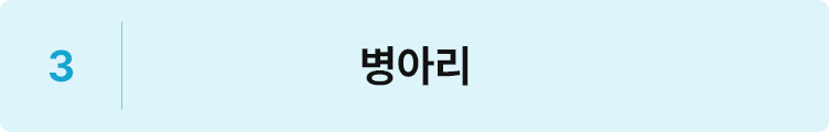 병아리