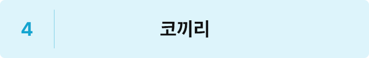 코끼리
