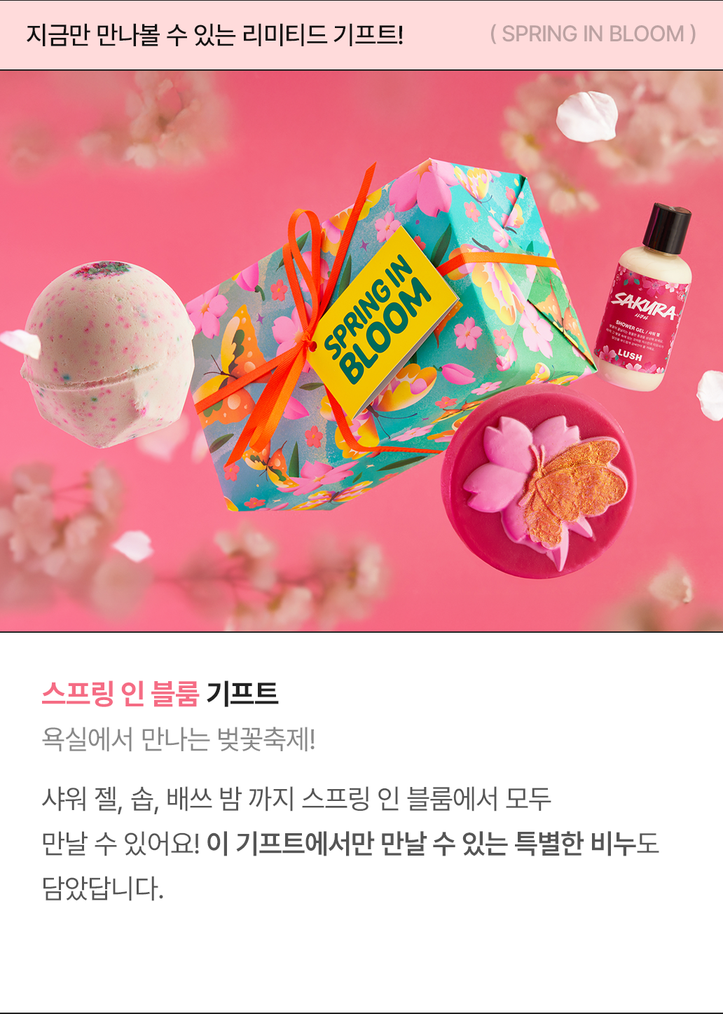 스프링 인 블룸