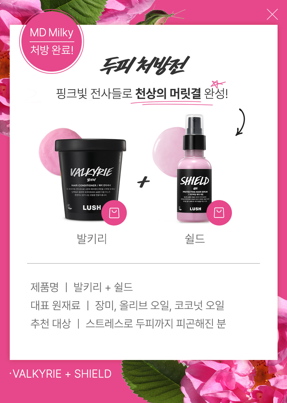 발키리 & 쉴드