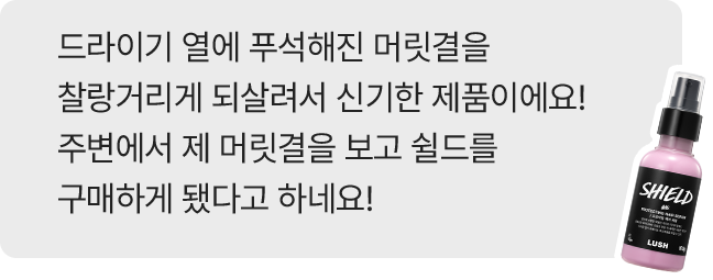 쉴드 리뷰 예시