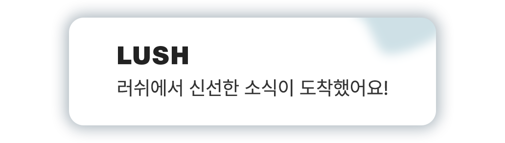 러쉬에서 신선한 소식이 도착했어요!