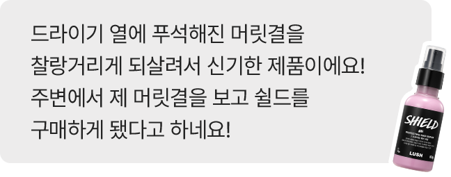 쉴드 리뷰 예시