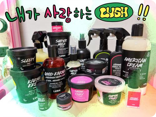 베스트 인증 후기