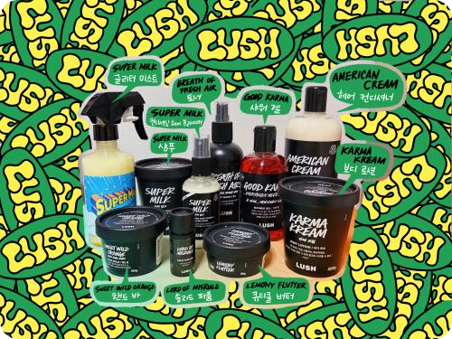 베스트 인증 후기