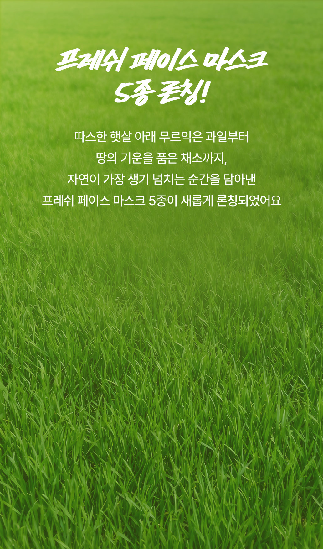 프레쉬 페이스 마스크 5종 론칭!/ 따스한 햇살 아래 무르익은 과일부터 땅의 기운을 품은 채소까지, 자연이 가장 생기 넘치는 순간을 담아낸 프레쉬 페이스 마스크 5종이 새롭게 론칭되었어요