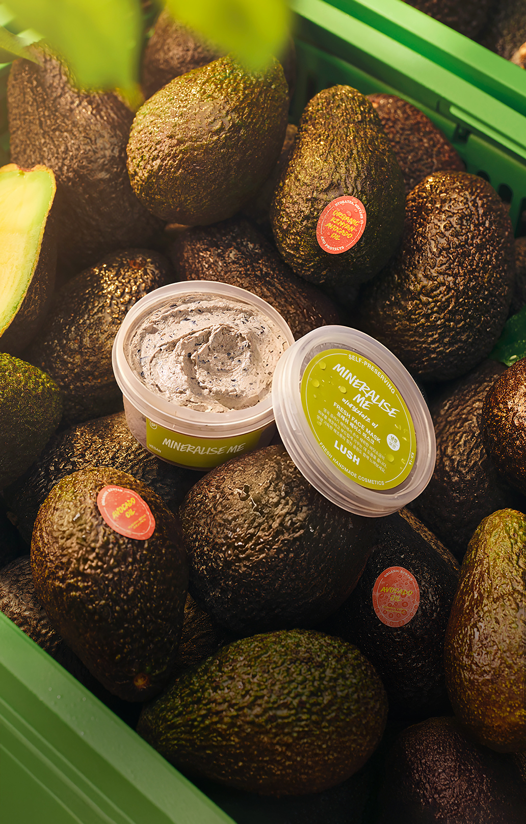 미네럴라이즈 미 이미지